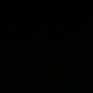 Meet your Posher, Gabrielle